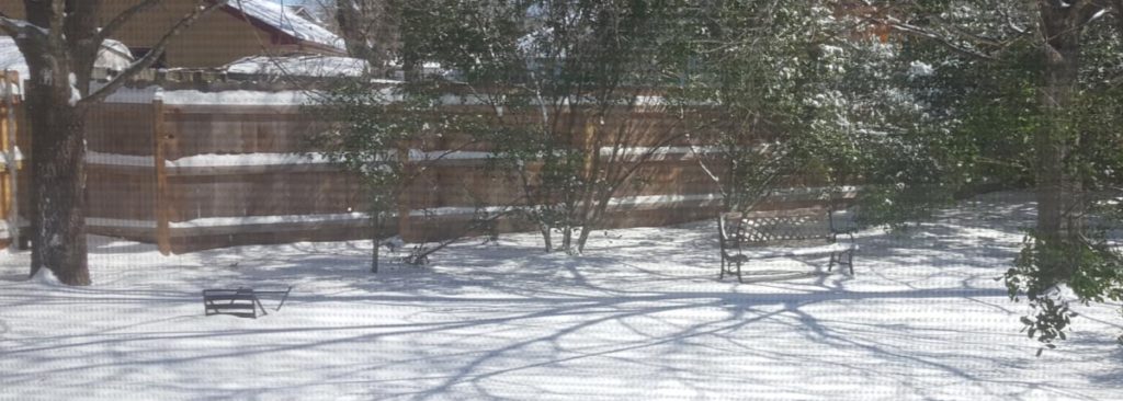 My back yard smothered in snow